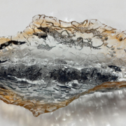 Schelp 3 - 2025 - Richard Steunenberg