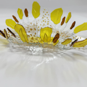 Schelp 1 - 2025 - Richard Steunenberg