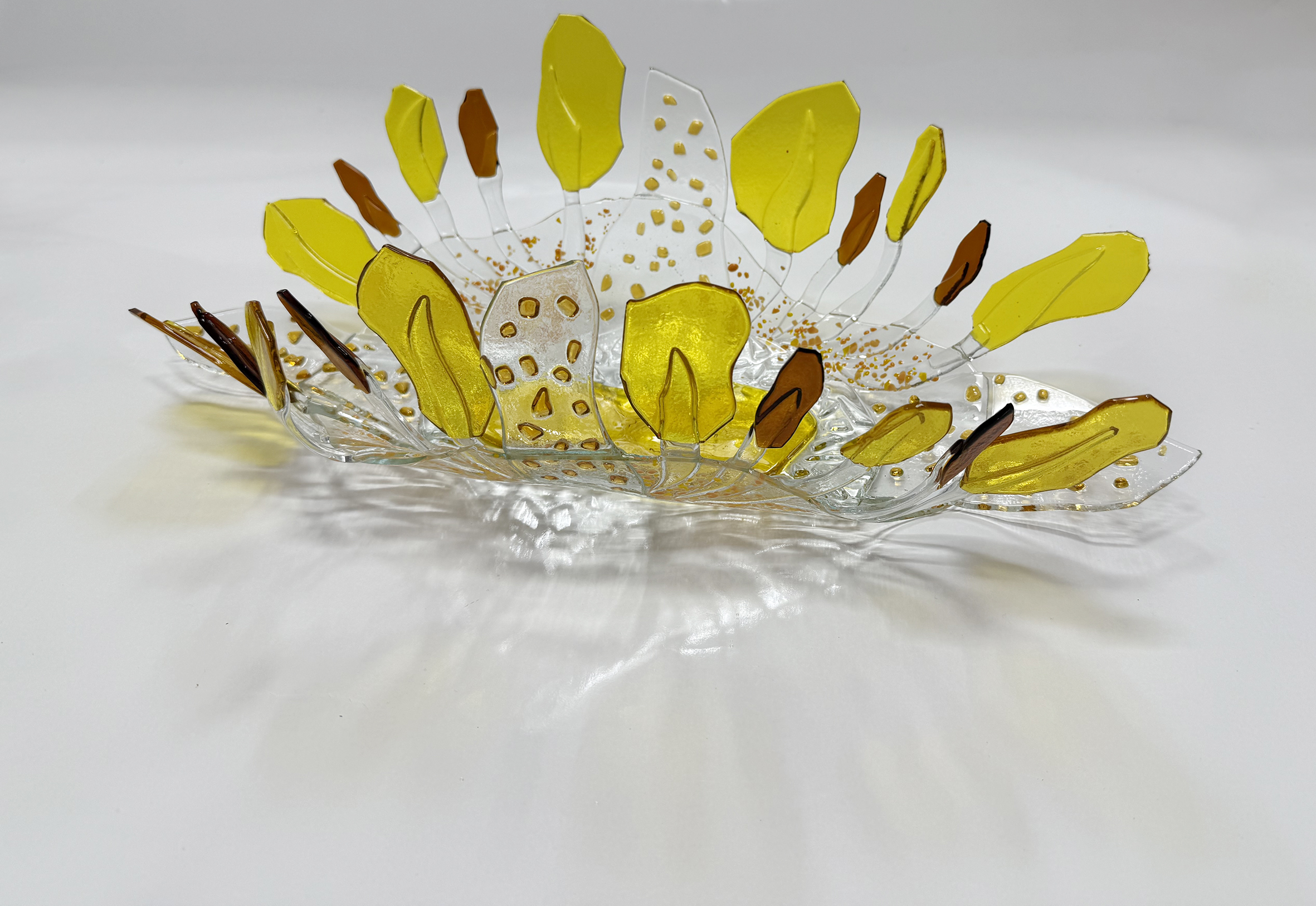 Schelp 1 - 2025 - Richard Steunenberg