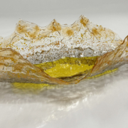 Schelp 2 - in opdracht -2025 - Richard Steunenberg